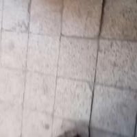 السعدون • ١ غرفة • طابق ثاني