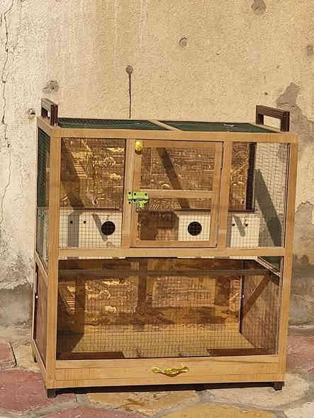 للبيع قفص خشبي الارتفاع متر  العرض 90  النزال 50يحتوي على بيوت عدد 2 ومراجيح2 ومجرى للتنظيف جراره القفص أحله من صور يحتاج فقط إلى طيور حسب الرغبه سعر 50 الف وبيه مجال ناصريه حي اور خلف جامع الحسن *********** يوجد واتساب
