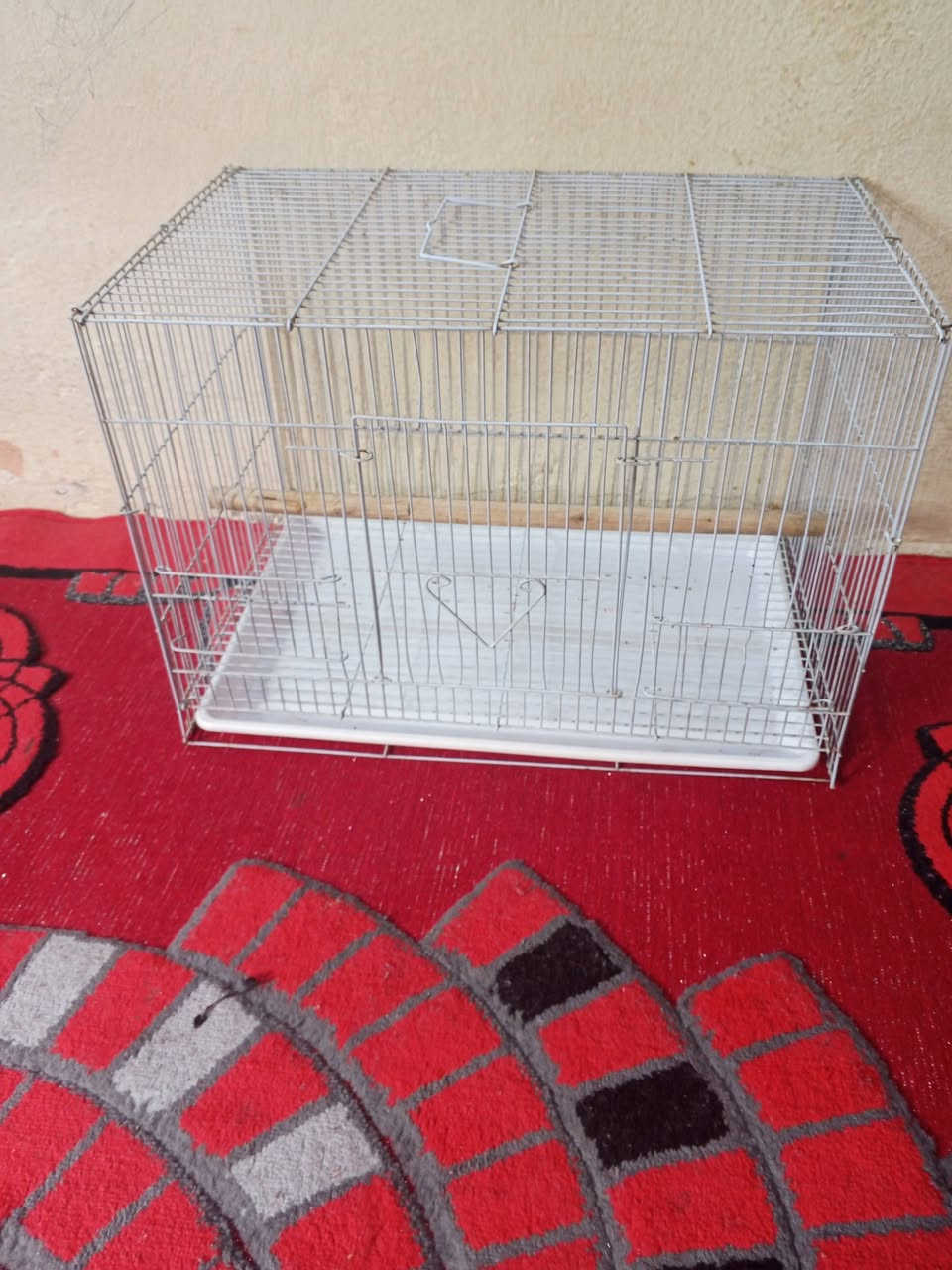 السلام عليكم قفاصه نظيفات البيع كل واحد وسعرة العنوان بغداد الحريه متواجد علئ خاص


**إذا كنت صاحب هذا الإعلان وتريد حذفه لأي سبب، رجاءا أرسل رسالة إلى الدعم الفني**