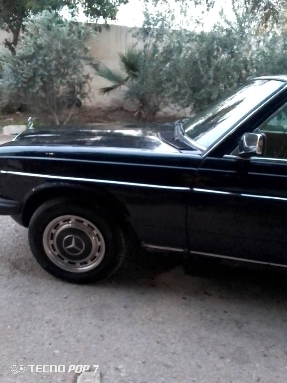 سلام عليكم
للبيع ( مارسدس ابو جحيل )
                             موديل 1982
نظيفه ونصبتها حلوة 
رقم مميز دولي
سنويه وهزه جديدة بأسمي نافذة لغاية 2028
محرك بلادي اربع سلندر قبغ اسود كابريتر لاتنقيص ولاتبخير
كير عادي  6 نمر طياره 
كير ومحرك شرط
صدر امامي وخلفي كله جديد 
بطاين بوب جدد
غرفة جديدة
   هورن جديد
تبريد بي ليك وتدفئه موجودة نار
  كهربائياتها كلها شغاله
جام كهرباء 
تايرات 90 ٪
باتري جديد 
كبات تخم 4
جك واسبير وويل اسبانه جدد
السعر / 50 وبيها مجال 
***********
