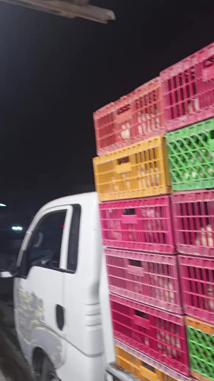 دجاج 🐓 العبيدي 
العنوان / بهرز  / الفضوه 
للستفسار /  ***********
