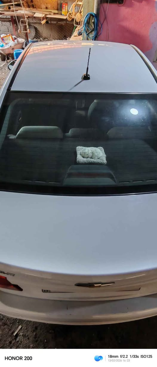 سلام عليكم خوان عندي سيارة شفر كروز رقم سليمانية السياره نضيفه وحلوه السياره ان شاء الله مابيها نقص كير محرك تبريد دواخل بدي  السياره حلوه اتخبل السياره رايدها90ورقها وبيها مجال والسوك كلشي بي لي حاب يستفسر اكثر رقمي موجود *********** البصرة, العراق
