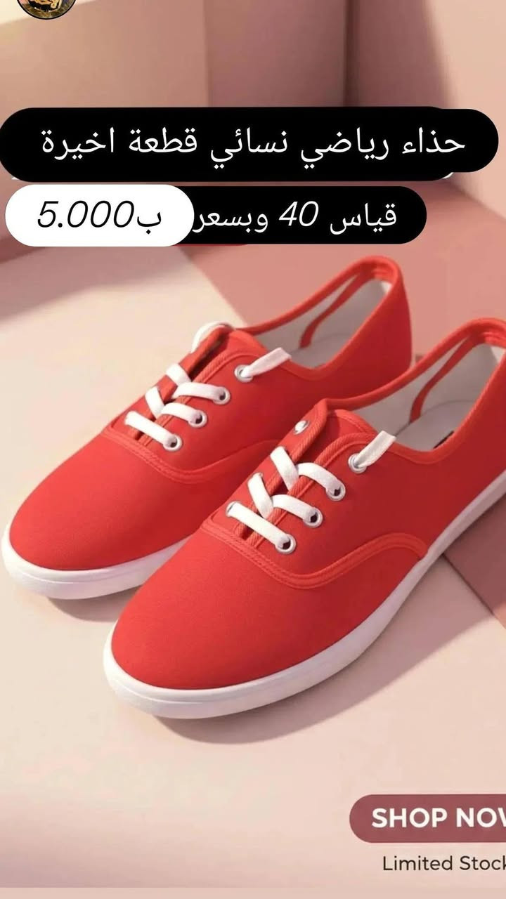 متوفر توصيل لكل العراق


**إذا كنت صاحب هذا الإعلان وتريد حذفه لأي سبب، رجاءا أرسل رسالة إلى الدعم الفني**