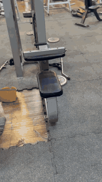 للبيع جنكل بريكور امريكي اصلي

سعر40ورقه قفل

تواصل***********
