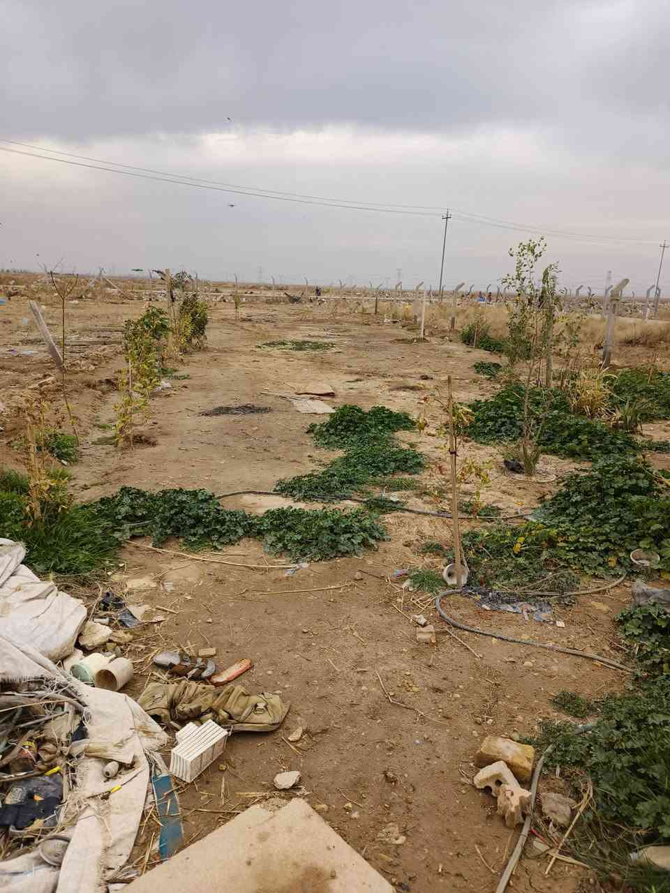 سلام عليكم بيت للبيع مكان مجمع الخمستالاف بي ستقبال.غرف نوم ثنين عكاده.مطبخ.ترك.صاله.حوش جبير. محل.وكاع من ضمن البيت رقم***********
