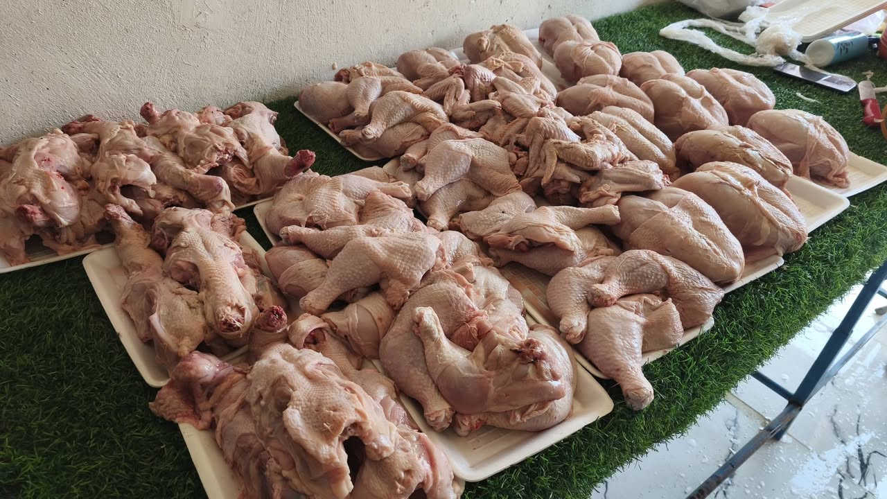 و یوجد لدینا تفسیخ دجاج درجه
 اولیییی مال الیوممممممم بارخص سعر🔥🔥🔥🔥🔥🔥
صدر5750😱😱😱
فخذ4500😍😍
جناح4000😱
قفص صدری ویا رکبە و ضهر1500😱
کبد6000دینارررر‌😱😱

و یوجد لدینا توصیل لکافە مناطق طوززززز‌🔥🔥🔥🔥
***********

عنوان:🖤من فرع تجنید الی بجانب مرکز شرطە تصعد لجبل حتی توصل لبدایە سایدین احنی مقابل شیرزاد قصاب وقریب من مدرسە فتوە و کباب جمال
♦♦♦♦♦♦
ناونیشان:🖤هەر لە دوکانە شکاوەکان دێیە خوارەوە لەسەر دوسایتەکە بەرامبەر شێرزاد قەساب دوکانەکەی دیار.

snabلنعغاێاkdkdkdkdkReieieehhhfg5jjr4hhTrrjrjhhh
