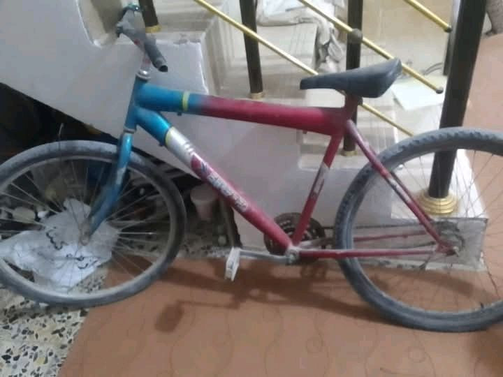 اثنين 75


**إذا كنت صاحب هذا الإعلان وتريد حذفه لأي سبب، رجاءا أرسل رسالة إلى الدعم الفني**