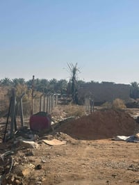 كربلاء حي الإمامين • ٥٠م • طابو زراعي سند ٢٥