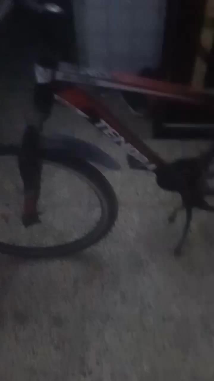 حجم 24
السعر 25الف
بي 🔒 بسيط حق الجيه
المراسلة ماسنجر فقط  منطقه الشماعية


**إذا كنت صاحب هذا الإعلان وتريد حذفه لأي سبب، رجاءا أرسل رسالة إلى الدعم الفني**