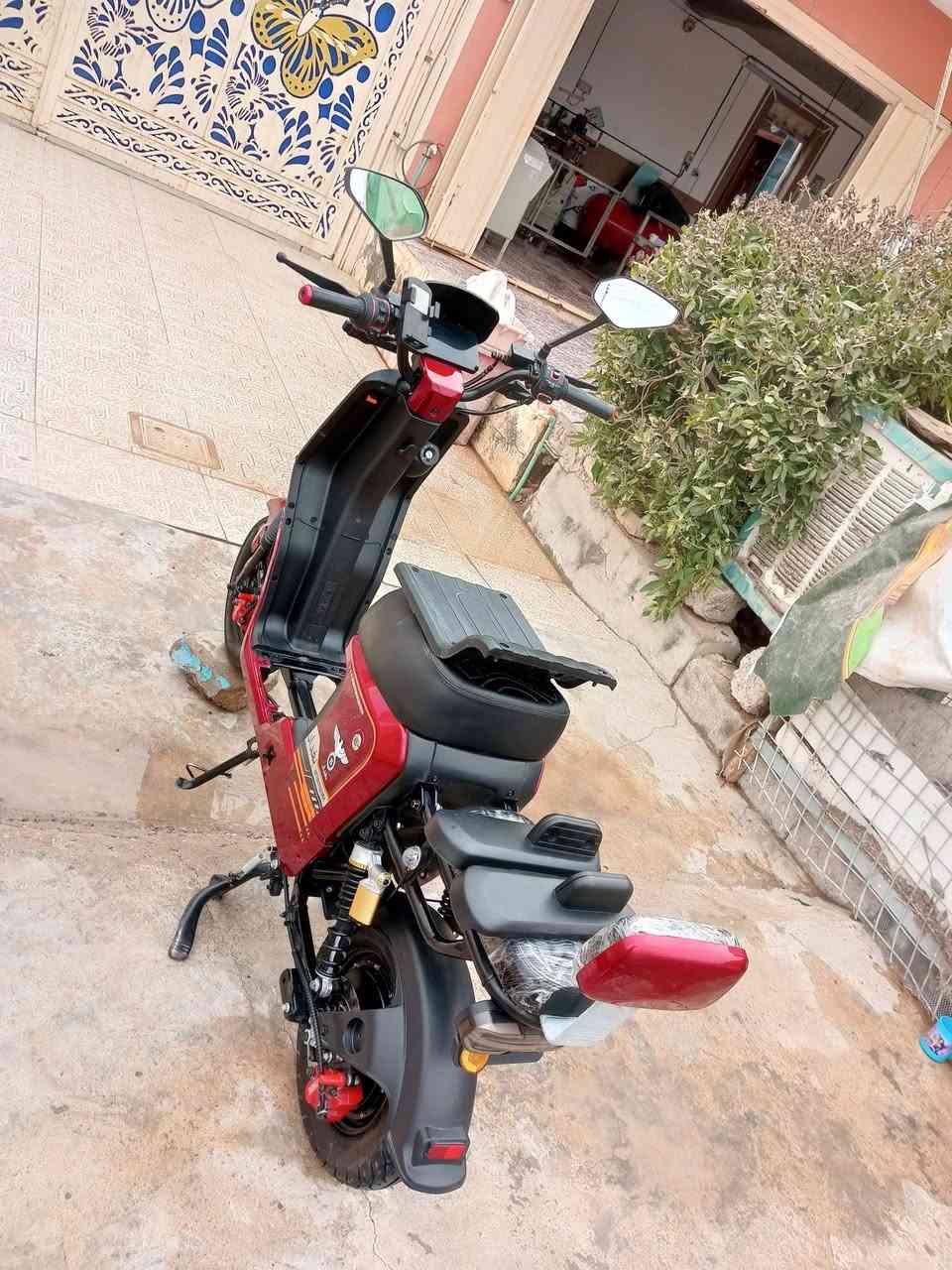 سلام عليكم للبيع دراجه شحن نوع ار9 موديل 2025لون احمر الدراجه فول مواصفات حته بك بيها R سويج عدد ٢ بصمه عدد٢ دراجه فول عنواني ديالى شهربان حي الحسين السعر   خاص


**إذا كنت صاحب هذا الإعلان وتريد حذفه لأي سبب، رجاءا أرسل رسالة إلى الدعم الفني**