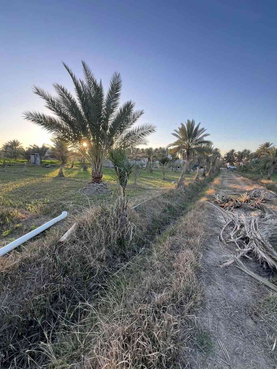 بستان للبيع سند24 الموقع كربلاء الحسينية الإبراهيمية خلف إذاعة كربلاء 
أربع دوانم وجه 65 م ولباقي نزال 
كل الخدمات 
تبعد عن الشارع العام 700متر 
للأستفسار أتصال ***********
