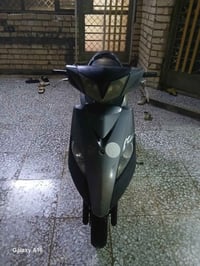 ماكس ثعلب • ختم واحد • نضيفه