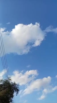 جيب لاريدو 2005  مصبوغ حزام للجماليه حادثها جاملغ الخلفي ضربه خفيفه شر...