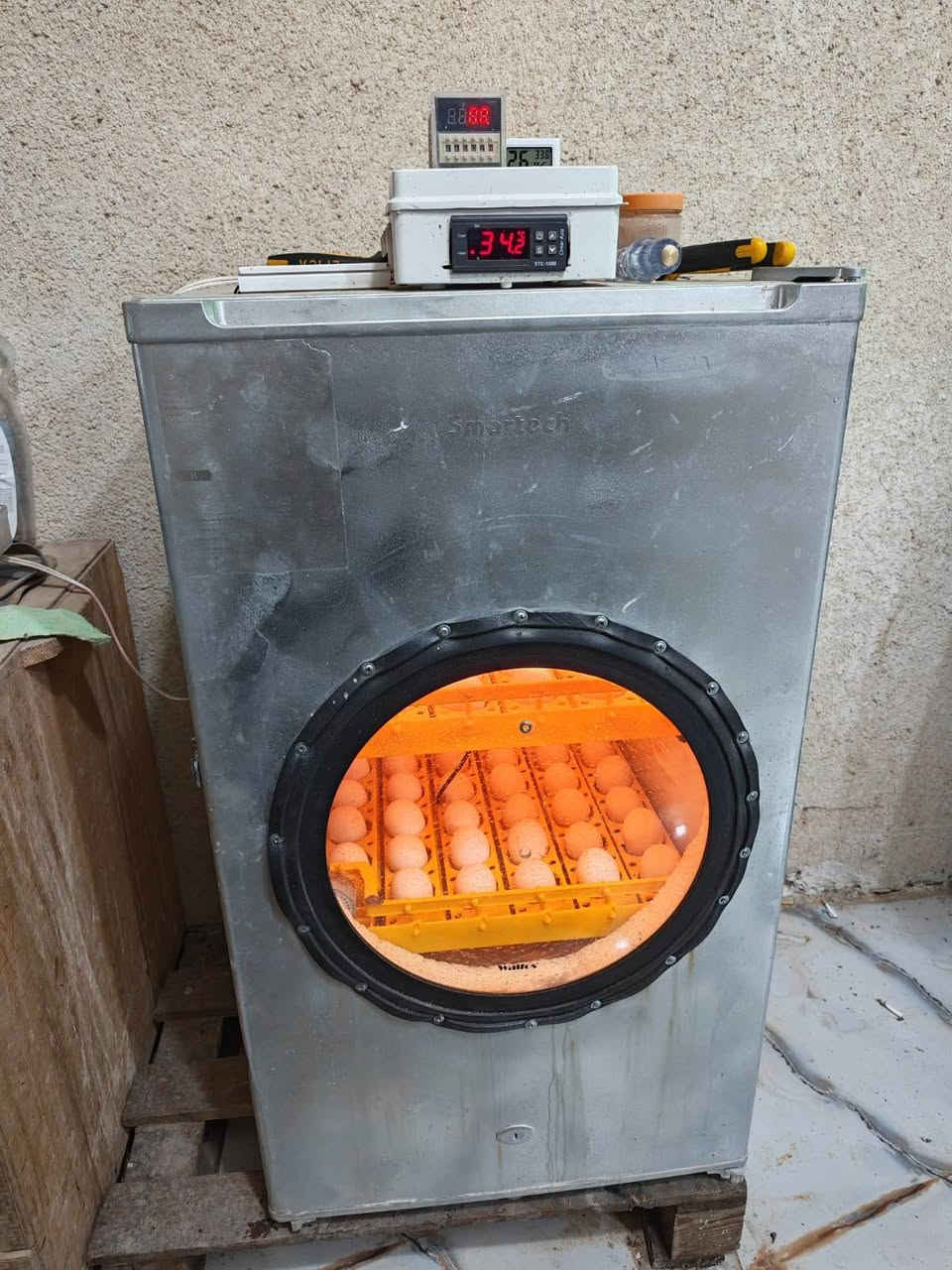 فقاسه ١٠٠ بيضه تقليب اتو ماتك *********** البصره الجزيره باب الهوه
