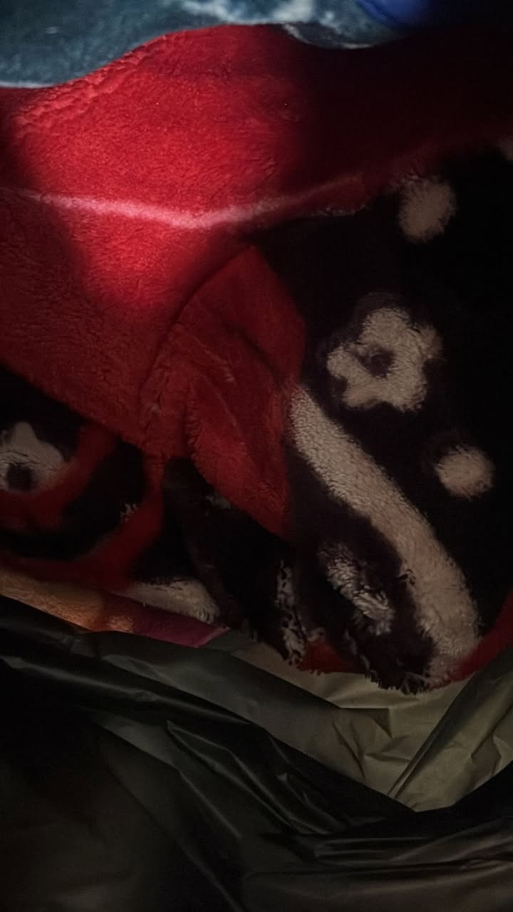 السلام عليكم غراض بيت مستعملة نظيفة للبيع كلمن وسعره الهيتر الواحد ب20 كلهن شغالات و البطانية الوحدة ب 10 و العربانة ب 55 و بيها مجال والمحمصة ب8 الف و الثرامة نوال ب 60 وبيها مجال و القلاية الهوائية ب50 و بيها مجال و مكينه القهوة ب30 نظيفة كسر كارتون بس و العصارة مال عصير ب 40
وبيها مجال
***********
