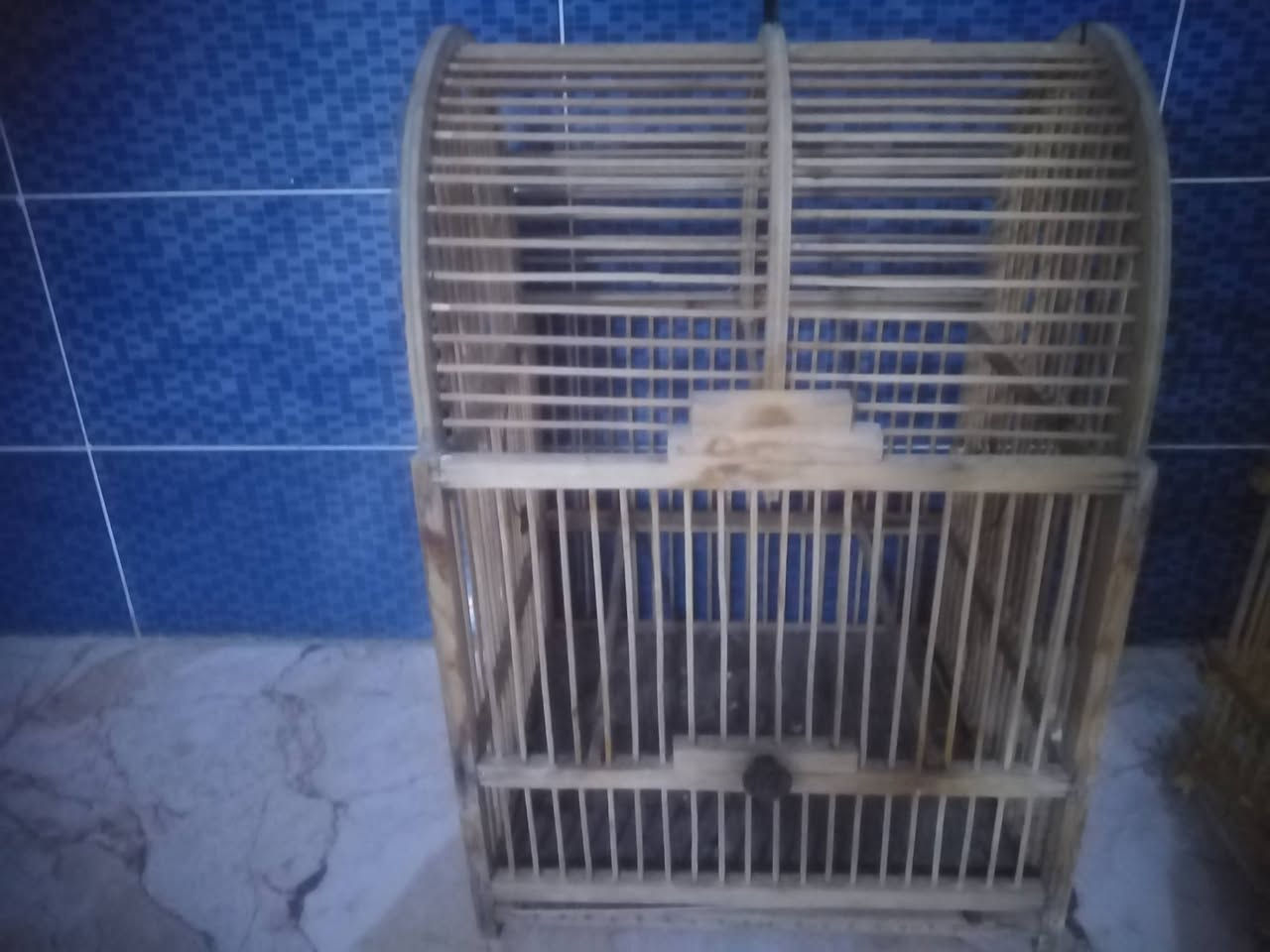 عندي هذولا القفصين للبيع ثنينهم ب 55وبيهم مجال الصغير ب 10والاكبر ب 50 وبيهم مجال قليل


**إذا كنت صاحب هذا الإعلان وتريد حذفه لأي سبب، رجاءا أرسل رسالة إلى الدعم الفني**