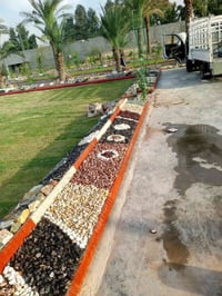 ديكورات حدائق • تنظيف النخيل • زراعة الأشجار