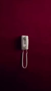 متجر ٢/١٤ • زهور طبيعية • البكرلي