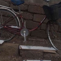 بايسكل • بعير • حجم ٢٦