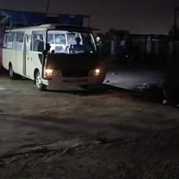 ‏قنات للبيع بوش إيراني وجبة الأولى الأولى السعر 250  الرقم 07780247036