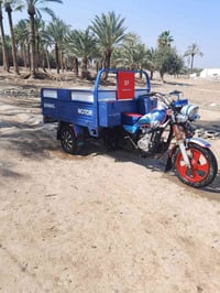 ستوته • موديل 14 • نجف أبو صخير