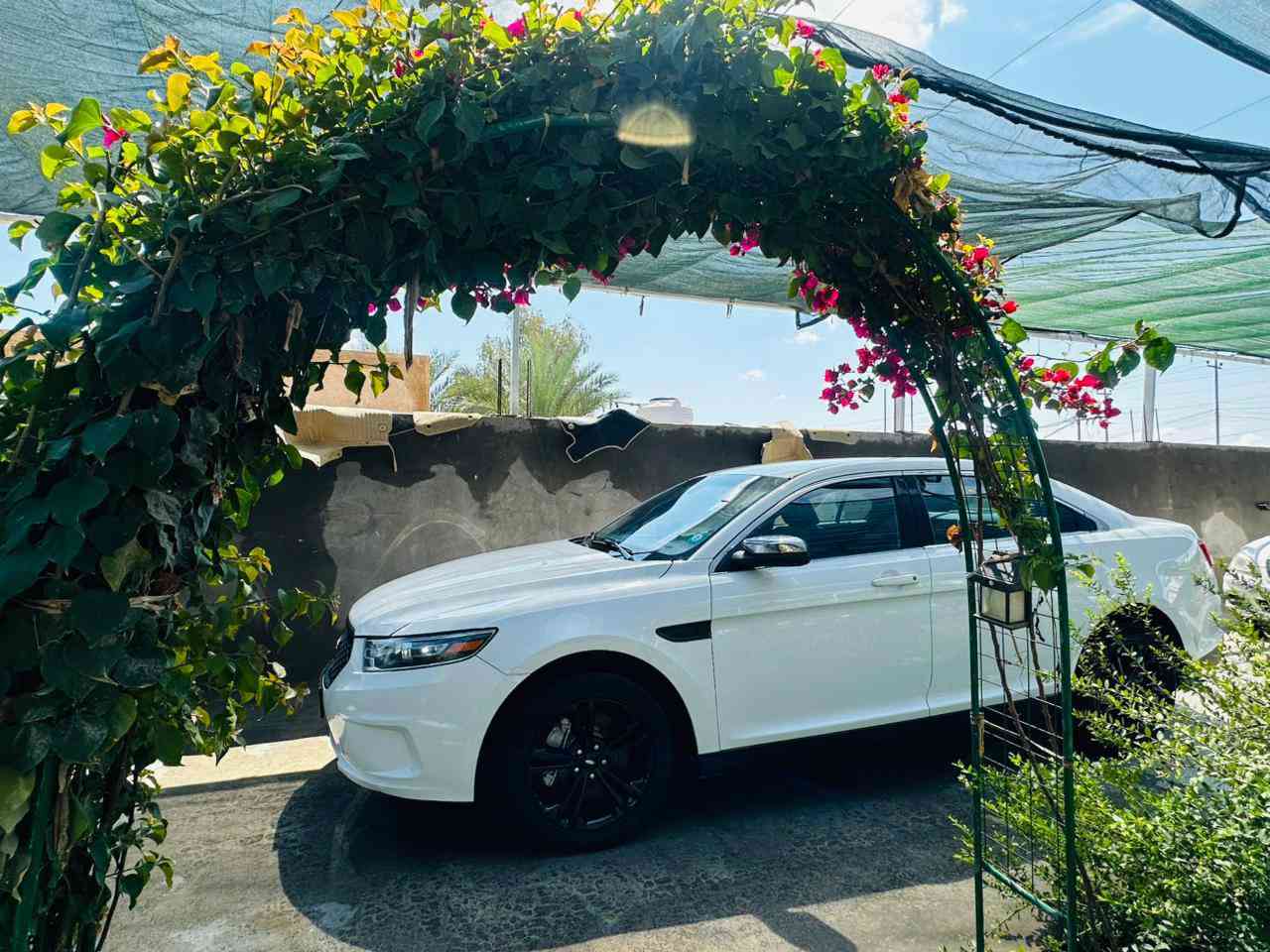 السلام عليكم ورحمه الله وبركاته 
للبيع او للمراوس حسب الرغبة 
فورد تورس 2019 وارد امريكي بوليسي السيارة
بيها قطعتين صبغ بدون دواخل 
سيارة بوليسي كير تعليك 1000 
مكينه 6/3500 تنفس طبيعي 
ماشيه 130 الف 
تخم تاير مكينه كير شركه 
مواصفات البوليسي معروفه 
راردات 360
دبل ارضيه 
كشنات تدفئه وكهربائي
اتو بارك 
قطعتين تبريد
سيارة هاون ومابيها نقص برغي 
السيارة خير من لله وجاهزة 
شعندك مراوس دزلي صورها وتفاصيل خاص 
مكانها بابل المسيب للستفسار اكثر اتصل 
***********
