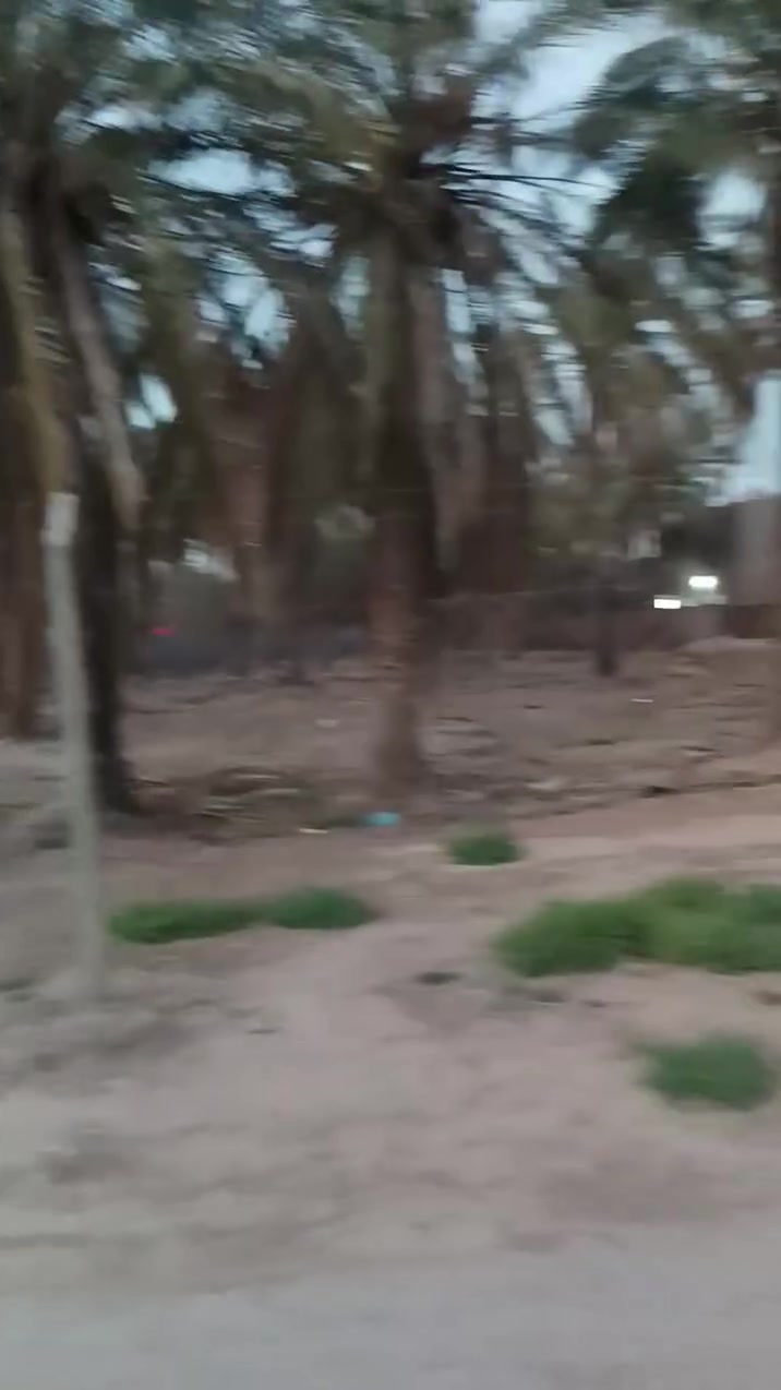 اللهم صل على محمد وآل محمد
قطع للبيع طابو زراعي صرف سند25 
حله داخل الطهمازية خلف سكلة الحاج احمد علي الجاسم قرب بانزين خانة الود البابلية 
***********
***********
 يوجدبيوت كل المساحات وقطع اوقطع تجاريه وقطع قريبه من العلوية شريفةع وقطع اكبرتريدالف متر او دوانم اوبيوت وقطع طابوصرف
