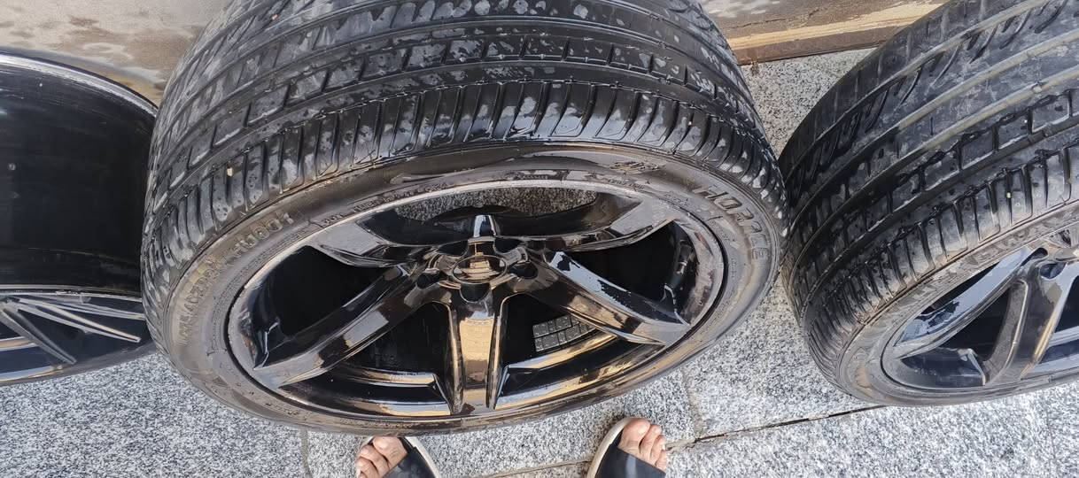 لللبيع خسفه قويه زوج فقط 
وفيردا  تخم مكفول توسايز للبيع سعر 
***********
