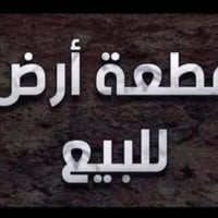 شارع الزيتون • دونم عالشارع • نص دونم عالشارع