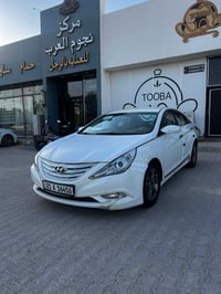 سوناتا • ٢٠١٠ • ثلاث قطع صبغ