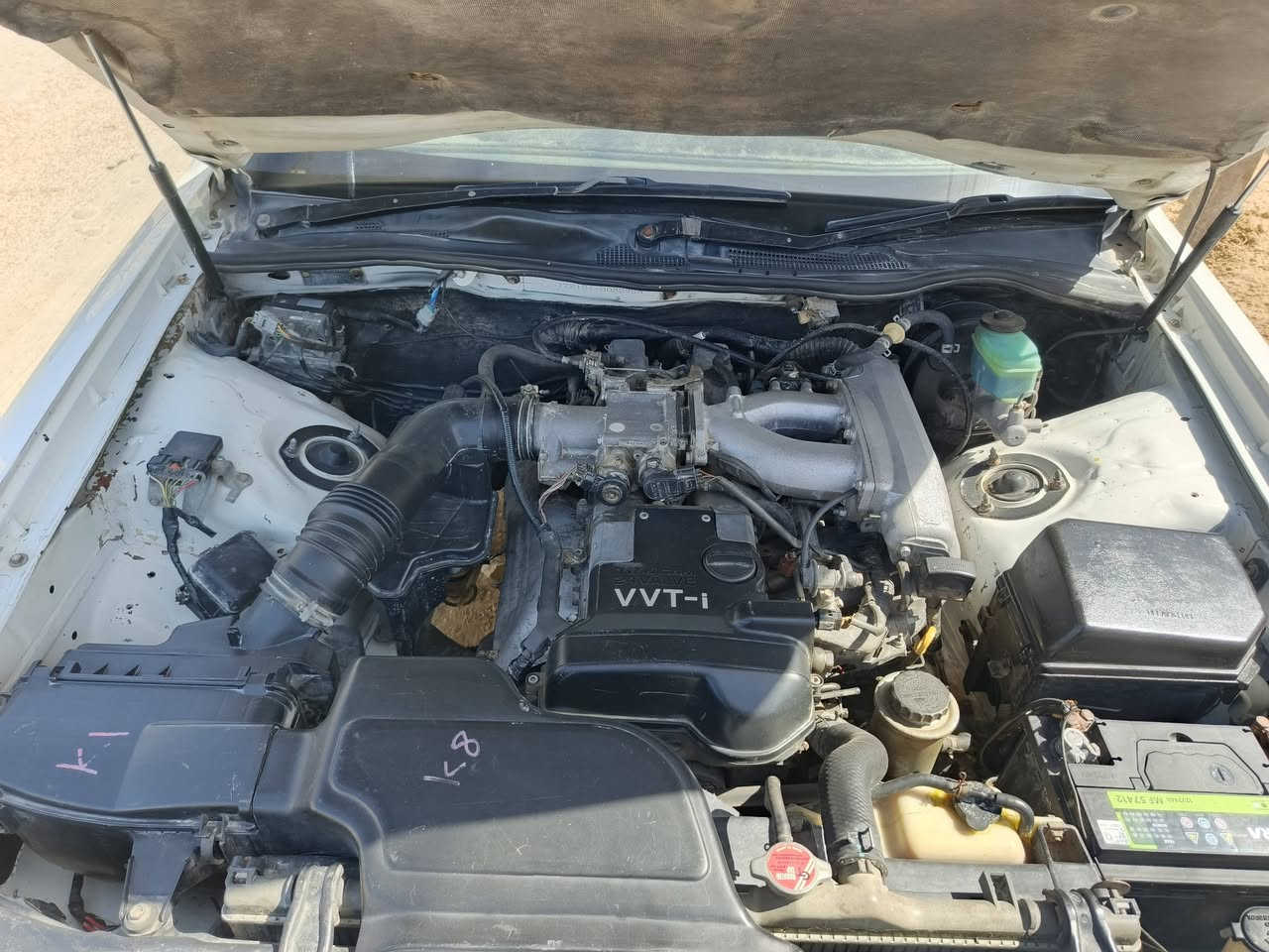 سلام عليكم راس الثور للبيع موديل 1996 سنويه جديده لغايه 30 مكفوله من كص ونقل الجثه ومن الظربه اليتات ابو عيون مكينه 3000 جديده كارتون كير خير من الله مداور مباشر تبريد ثلج غرفه جديده سياره مال جناي السعر خاص  للشراي ينتصل مكان ديوانيه بل شاميه 
مكلف بل نشر انتصل على الرقم 
‏‪***********‬‏
