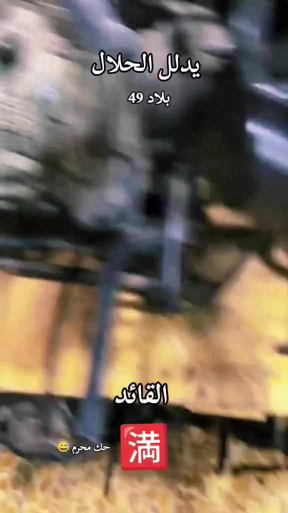 ماكس عدله كفاله عامه 3 ايام من عمرته مكينه 49 بلاد ما مفتوحه غراض كله جديد
بيه ماشالله 
.
دبل قزم اصلي
ويالـه  مشيف 
 كفرات وسوبر موشم 
شاصي سماي حراري 
بيه شيال فضي 
قبق فلاوين فضي 
هاي داخل مكينه كلش جديده
دراجه جديد كلش + شرط تفحص وتقتنع بيه يلا  تاخذه 
سعر 750وبيه مجال  قليل مكاني قبله 
 
 رقم الهاتف *********** واتساب فقط
