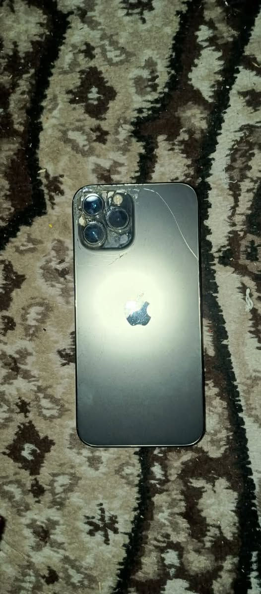 ايفون 📱 ١٢برو ماكس للبيع او مراوس حسب القناعه
ذاكره ٢٥٦
بطاريه ٧٣بلاديه
شاشه بلادي 
الجهازي بي الضربه البضهر ومماثره على اي شي وضايعه بل كفر 
وتس اب ***********متوفر ماسنجر كذالك
