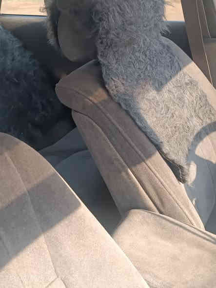 سلام عليكم. ...
مارك مسطره كربلائــي ــ94
مشروع وطنــــــــــي
 محــــرك. ونــــجي 
حداديه فــــــــول 
تخم تايــــر جديد
سياره مصبوغه جماليه 
السعـــــر 60 وبيها مجال حق جيه
ابو زهراء ***********
