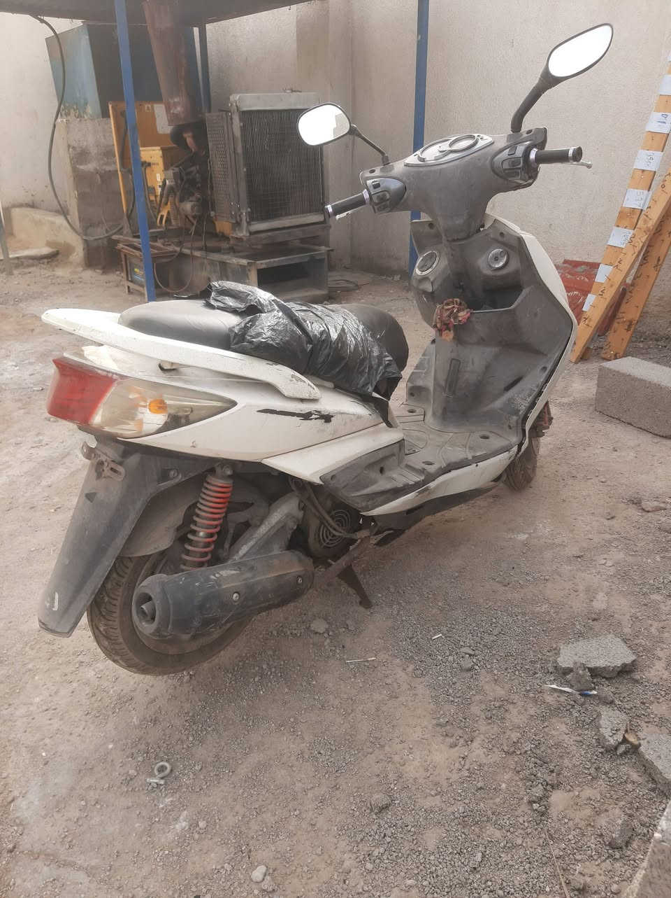 دراجه سكنز فحل عاطله ليبيع لستفسار على الرقم ***********
