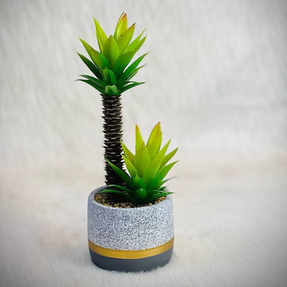 سندان + نبات صناعي حجم صغير 🪴 
السعر ( 6,000 ) دينار ✅

خدمة التوصيل متوفرة داخل الموصل وجميع محافظات العراق 🚕

للطلب او الاستفسار يرجى مراسلتنا على صفحات التواصل الاجتماعي 📨
او الاتصال على : 📱
كورك : *********** 
اسياسيل : ***********

العنوان : الموصل / حي الفلاح - مدخل الملعب - شارع ١٥ مقابل العمارة الزرقاء 📍
