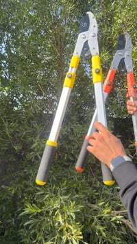 مقص تقليم أشجار • قابل للتمديد • توصيل
