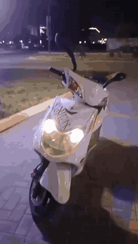 سكليتر • كفالة • شاشة عاطلة