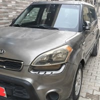 وارد امريكي • ٢٠١٣ • صبغ كامل