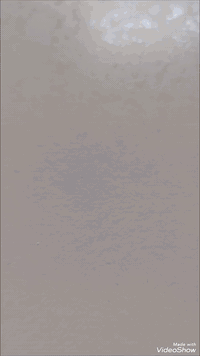 ميز طعام نظيف اخو جديد متكون من طبقتين مرمر مع خشب بي دي اف ثقيل جدا مع كراسي جلد عدد ٦عنوان يارمجه شرقيه يوجد خدمه توصيل


**إذا كنت صاحب هذا الإعلان وتريد حذفه لأي سبب، رجاءا أرسل رسالة إلى الدعم الفني**