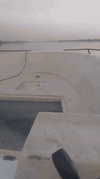 زورق روضان الطول 5متر و80 سانتيم زورق نضيف وبلادي حته صبغ بلاد مع محرك 225  ياماها نضيف كلش مع باور استيرن زورق جاهز للبيع هذا رقمي ***********
