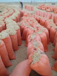 تبن • درجة اولى • توصيل مجاني