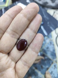 عقيقة • محترمة