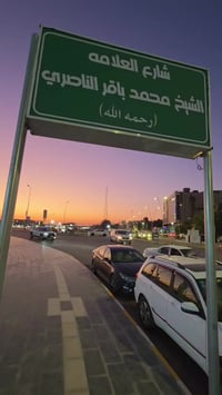 الناصرية • شارع الإمام علي • وظائف