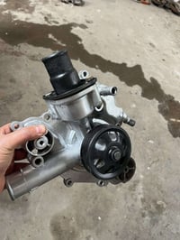 واتر بم اس ار تي • الولف • ولرگبة