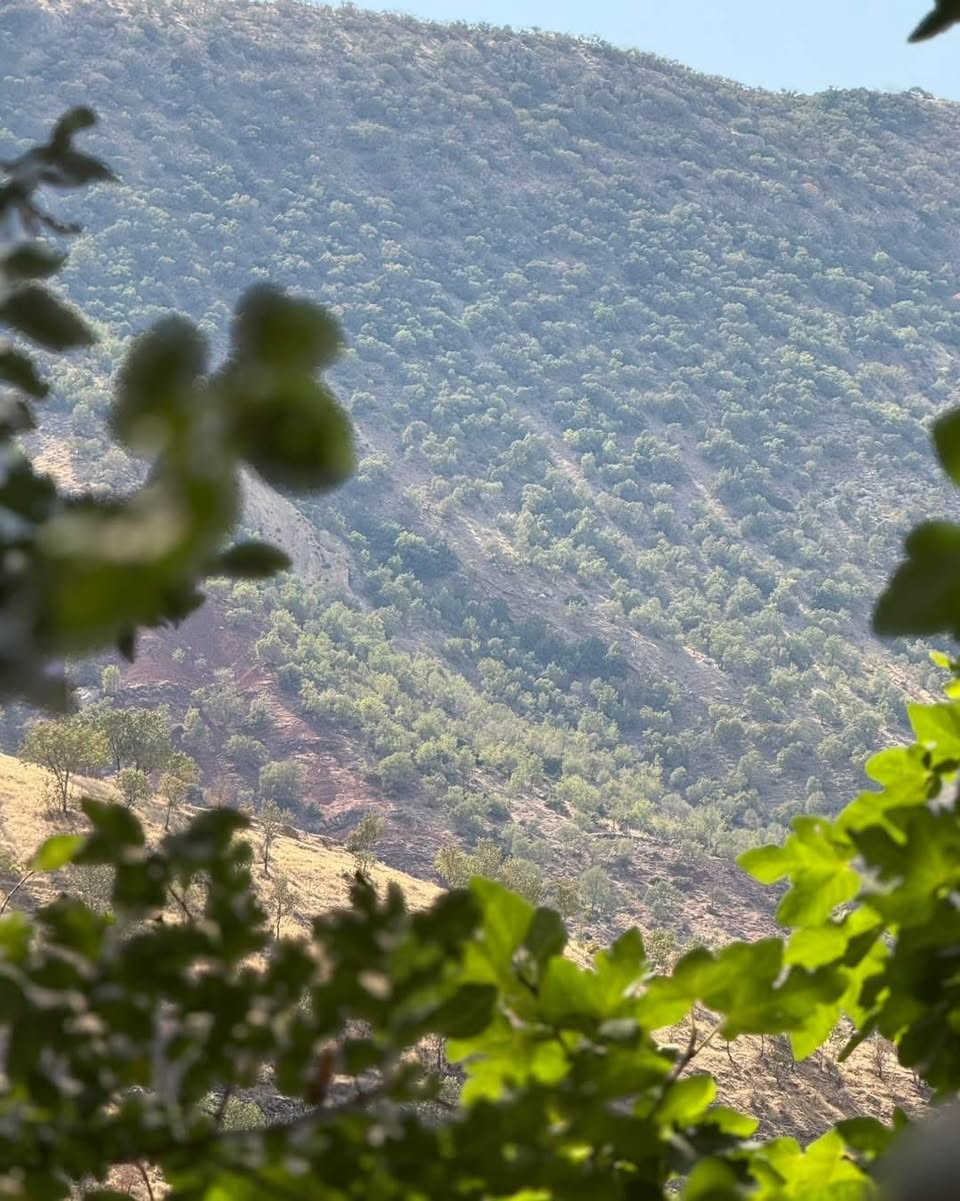 ***********واتساب
