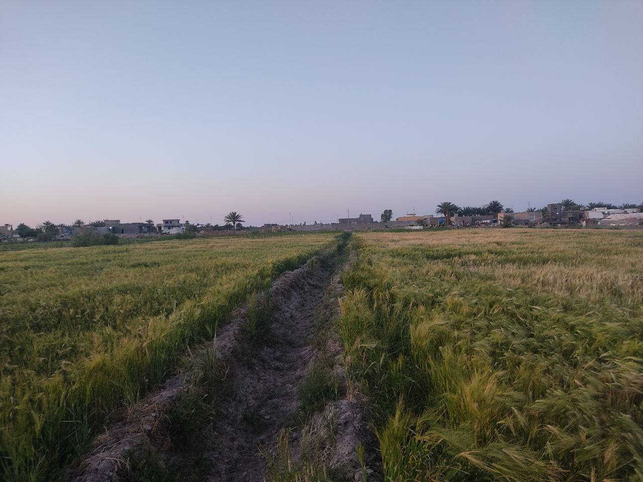 السلام عليكم ورحمة الله وبركاته اهلا وسهلا ،،،،،،،.  توجد ارض زراعيه مساحتها (  20 )  دونم للبيع في منطقة 
ابو طيبان الچري_التفاصيل الأتصال على الرقم التالي 
(***********) ابو شهم @إشارة
