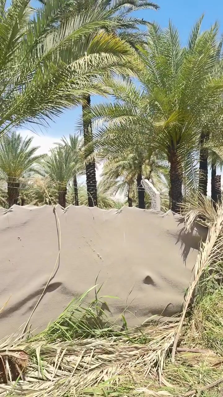 سلام عليكم نص دونم طابو زراعي سند ٢٥ للبيع العنوان المدائن منطقة الجعارة شارع ١٠ متر الاستفسار ***********
