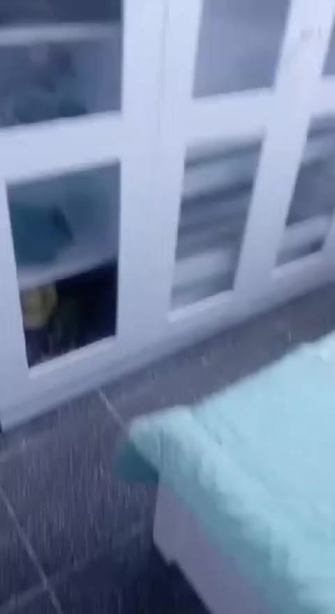 غرفة تركي نظافه 70 بل ميه السعر 60 الف بغداد الامين


**إذا كنت صاحب هذا الإعلان وتريد حذفه لأي سبب، رجاءا أرسل رسالة إلى الدعم الفني**