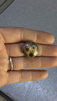 سليماني • مصور